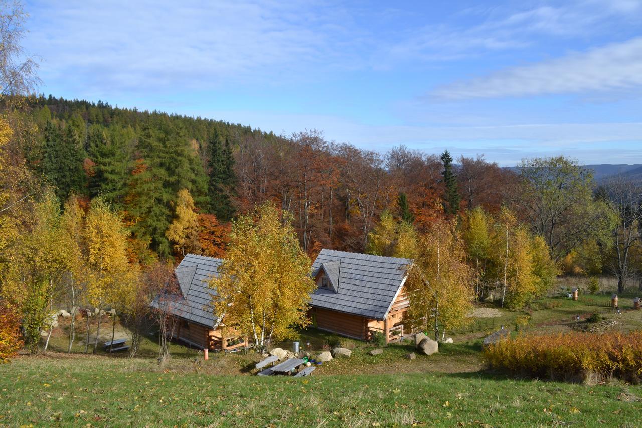 Lesniowka Domki W Karpaczu ภายนอก รูปภาพ