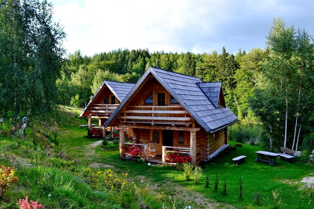 Lesniowka Domki W Karpaczu ภายนอก รูปภาพ