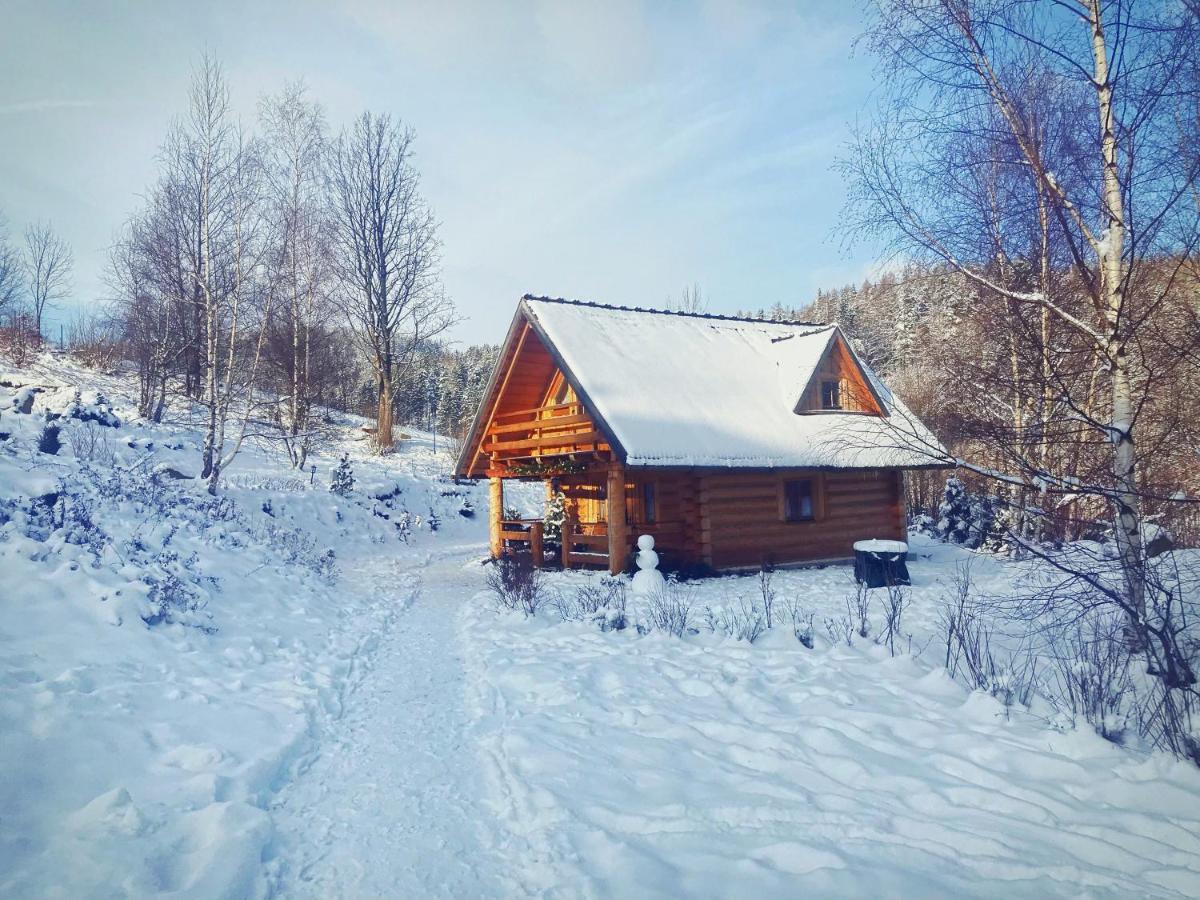 Lesniowka Domki W Karpaczu ภายนอก รูปภาพ